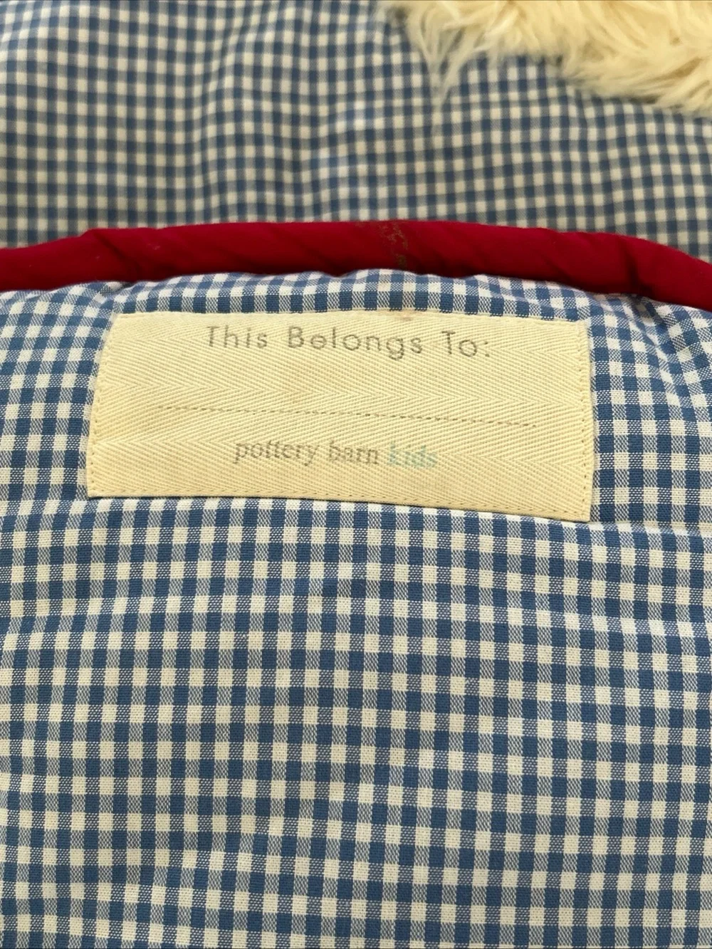 Pottery Barn Kids Shaggy Dog Sleeping Bag Blue White Check NO Monogram